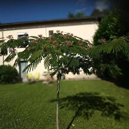 Gite De Sapiac Montauban Exterior foto